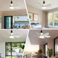 🔥ZOMERVERKOOP 60% UIT🔥 2-IN-1 PORTABLE CEILING FAN & LIGHT met afstandsbediening