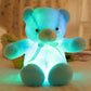 ❤️🎁Die beste Wahl für Geschenke🧸Teddybär, buntes LED-Licht, Stofftiere