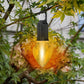 Solar Powered Tent Camping Light Bulb, Rechargeable Portable LED Camping Lantern with 3 Lighting Modes, Tent Lamp with Clip Hook for Camping, Hiking, Backpacking