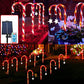 🔥Solarbetriebene Weihnachtsdekorationen: Zuckerstangenlampen