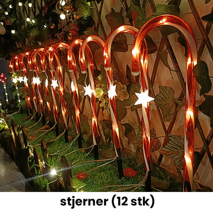 🔥Solarbetriebene Weihnachtsdekorationen: Zuckerstangenlampen