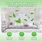 Langzeit-Formaldehyd-Geruchsentferner – Für frische Raumluft in Wohnräumen 🌿🏠